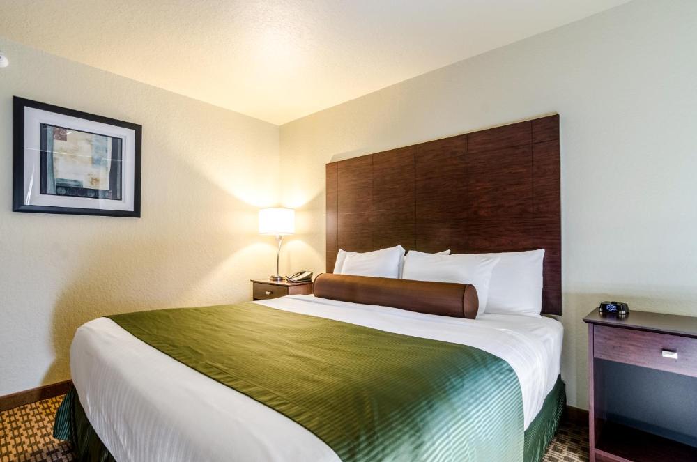 Deluxe King Room interior